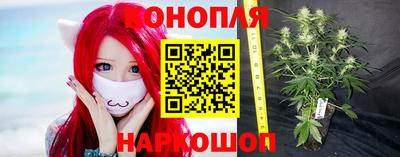 марихуана Гусиноозёрск