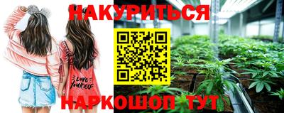 индика Гусев