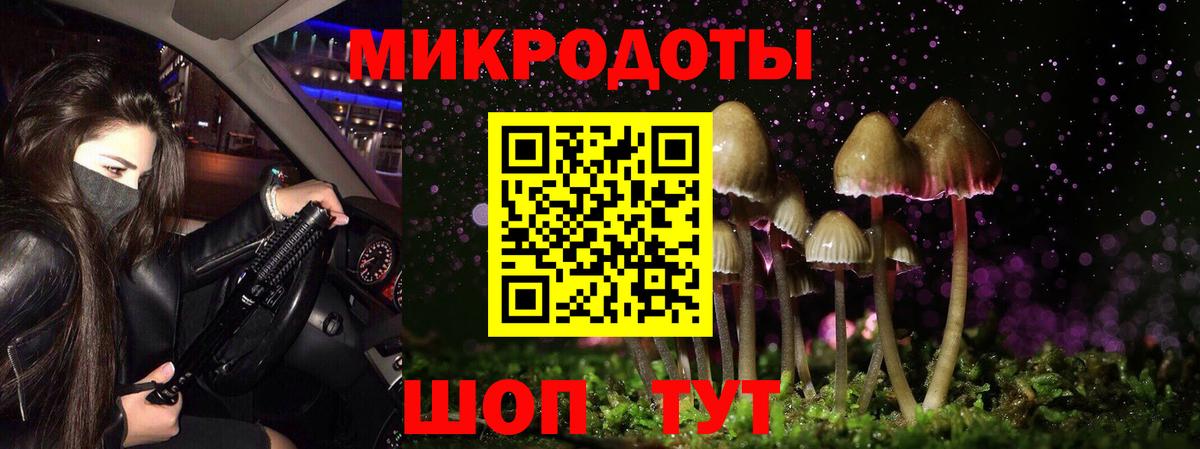 Галлюциногенные грибы MAGIC MUSHROOMS  Вход с VPN  Новосибирск 