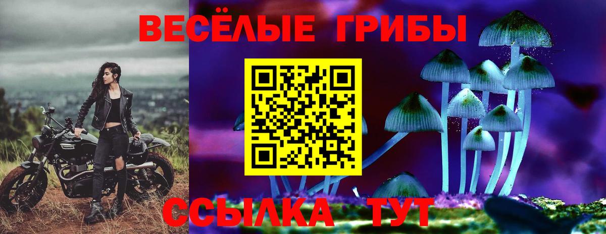 Псилоцибиновые грибы мухоморы Новосибирск